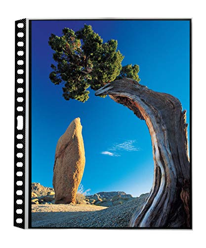 ITOYA ProFolio by Itoya, Art ProFolio PolyGlass, 10-Pack Multi-Ring Binder Refill Pages - Portrait, 13 x 19 Inches - Image 4