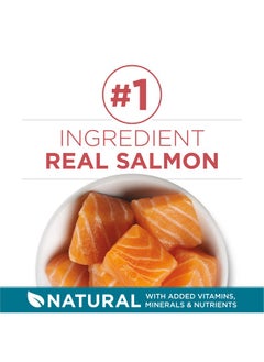 Purina ONE Natural Dry Cat Food, Tender Selects Blend With Real Salmon  7 Lb. Bag  - Image 2