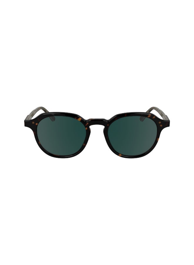 CALVIN KLEIN نظارات شمسية كاملة الإطار من أسيتات كالفن كلاين CK24538S N 5120 (235) داكن هافانا - Image 3