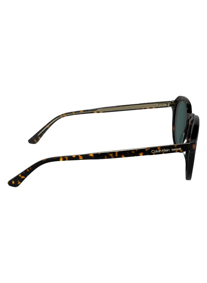 CALVIN KLEIN نظارات شمسية كاملة الإطار من أسيتات كالفن كلاين CK24538S N 5120 (235) داكن هافانا - Image 4
