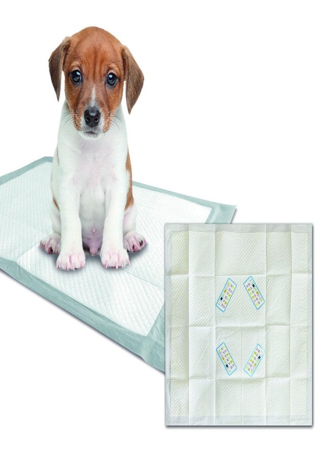 أم-بيتس وسادات اختبار M-PETS Uritest، تشخيص سريع لاضطرابات المسالك البولية للكلاب، غير جراحي، خالٍ من التوتر، سهل الاستخدام في المنزل، للكلاب المسنة والبدينة - 60x60 سم (عبوة من 15) - Image 4