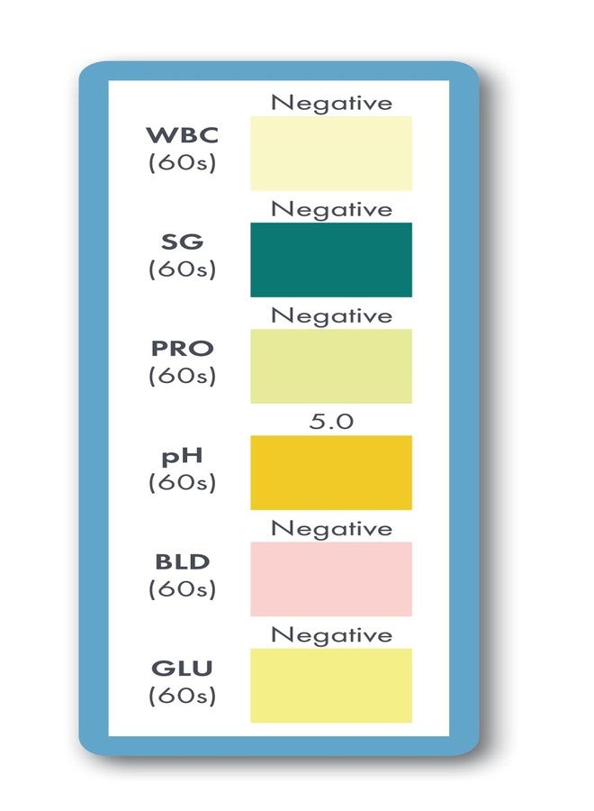 أم-بيتس وسادات اختبار M-PETS Uritest، تشخيص سريع لاضطرابات المسالك البولية للكلاب، غير جراحي، خالٍ من التوتر، سهل الاستخدام في المنزل، للكلاب المسنة والبدينة - 60x60 سم (عبوة من 15) - Image 3