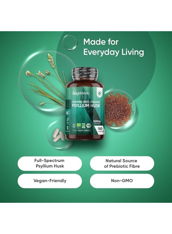 كبسولات قشر بذور القطونة العضوية 1400 مجم – 180 كبسولة، صنع في المملكة المتحدة – تدعم صحة الجهاز الهضمي والانتظام الطبيعي - Image 2