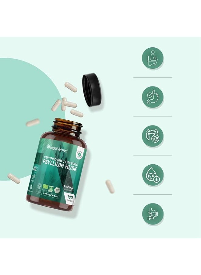 كبسولات قشر بذور القطونة العضوية 1400 مجم – 180 كبسولة، صنع في المملكة المتحدة – تدعم صحة الجهاز الهضمي والانتظام الطبيعي - Image 3