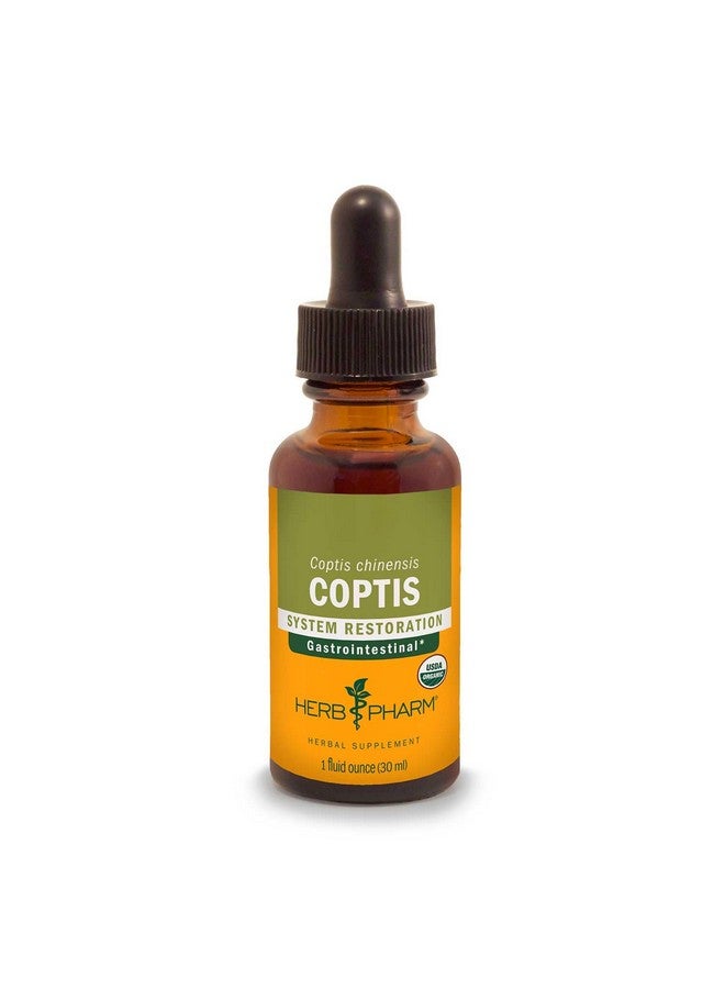 Herb Pharm Coptis Liquid Extract for Digestive Support, 1 Fl oz