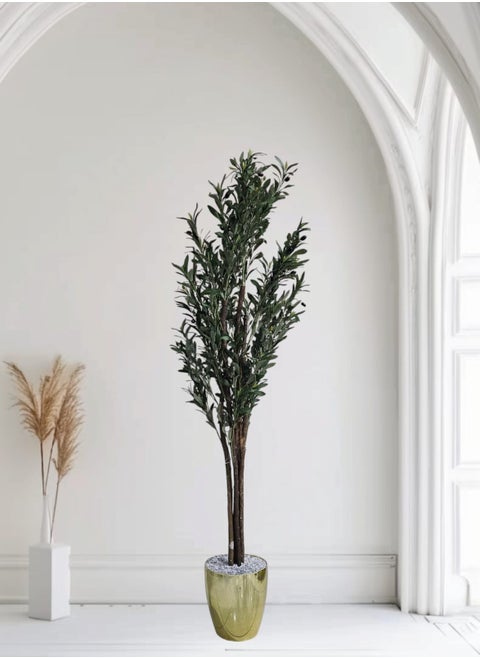 Olive tree with a shiny golden pot in an attractive design, make your home more elegant, 185 cm