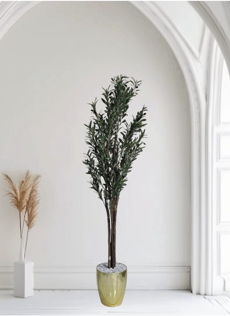 Olive tree with a shiny golden pot in an attractive design, make your home more elegant, 185 cm