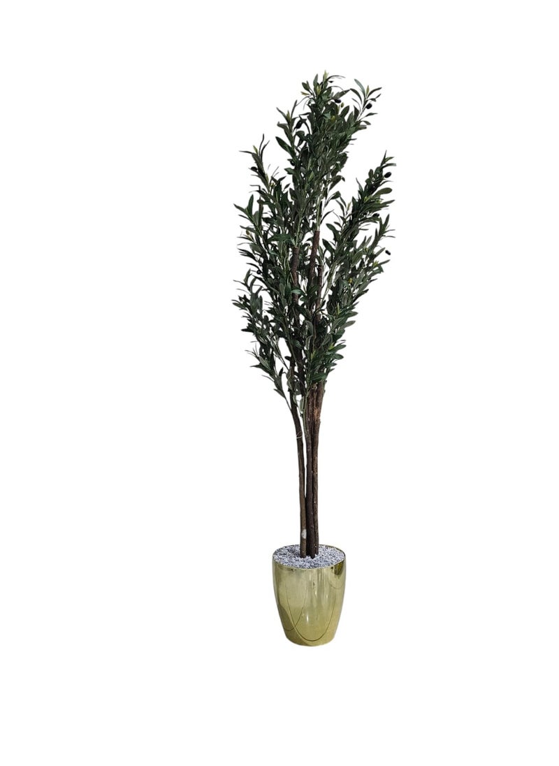 Olive tree with a shiny golden pot in an attractive design, make your home more elegant, 185 cm
