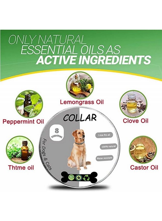 بت طوق البراغيث والقراد للكلاب، وقاية من البراغيث والقراد للكلاب، 25 بوصة، حماية لمدة 8 أشهر، عبوة واحدة - Image 3