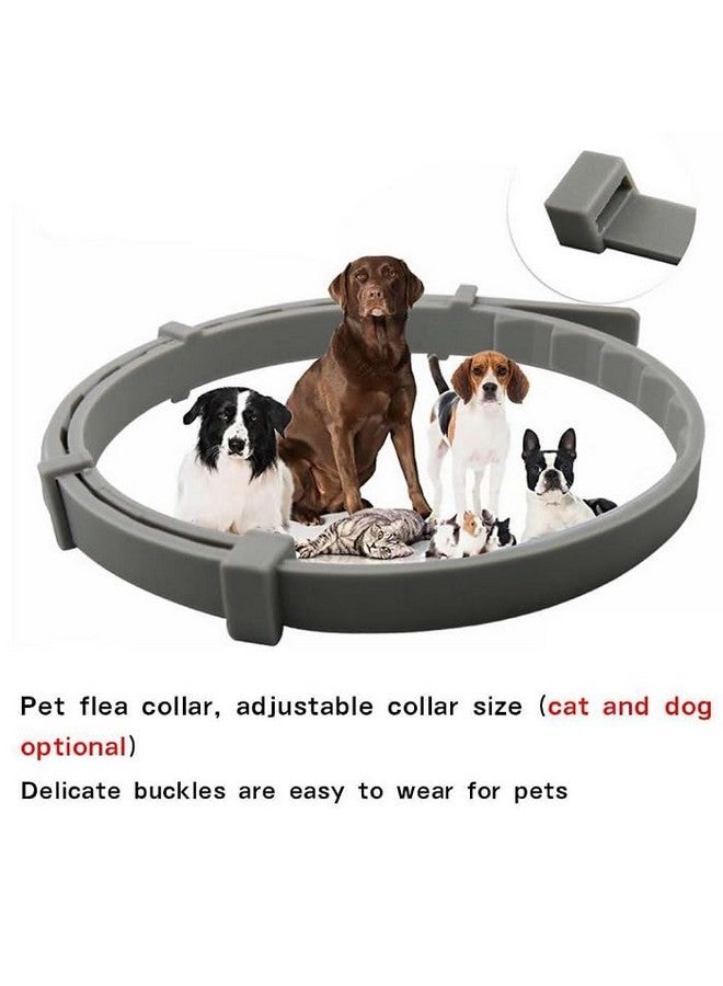بت طوق البراغيث والقراد للكلاب، وقاية من البراغيث والقراد للكلاب، 25 بوصة، حماية لمدة 8 أشهر، عبوة واحدة - Image 4