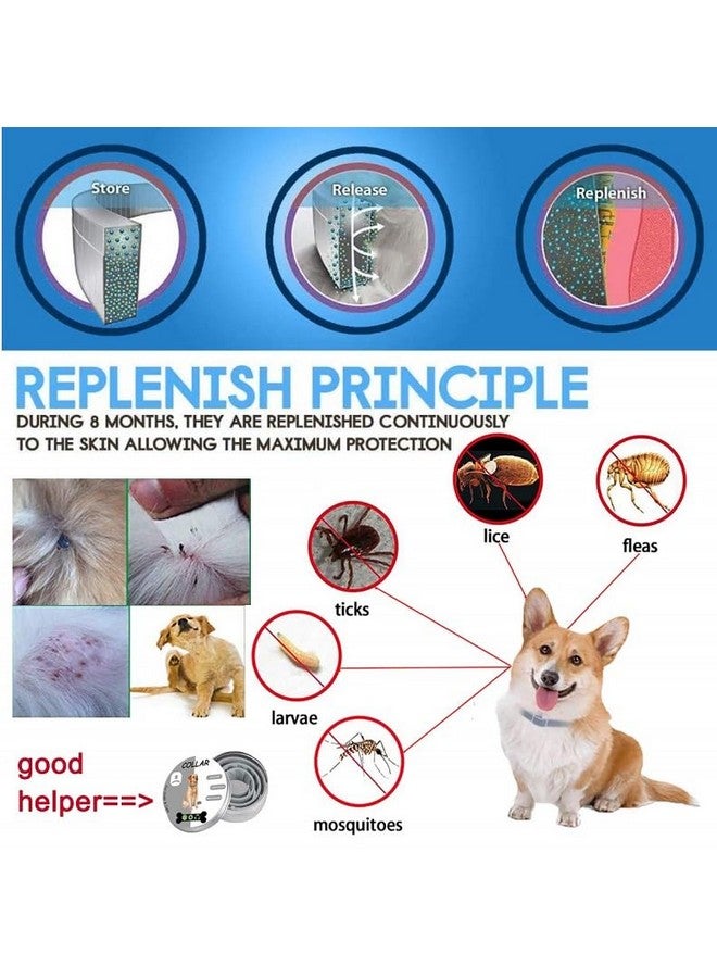بت طوق البراغيث والقراد للكلاب، وقاية من البراغيث والقراد للكلاب، 25 بوصة، حماية لمدة 8 أشهر، عبوة واحدة - Image 2