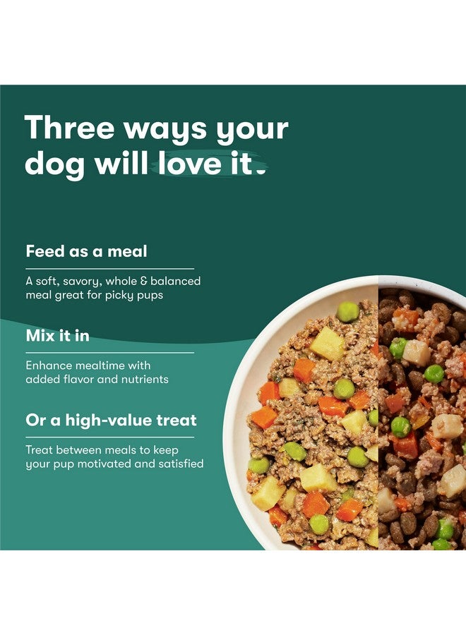 جينكس طعام الكلاب الرطب جينكس بيف، ممزوج بطعام الكلاب الجاف، مصنوع من لحم البقر والدجاج الحقيقيين، مرق العظام والأرز البني، بدون حشو، للجراء، البالغين، كبار السن، 9 أونصة، عبوة من 6 قطع - Image 3