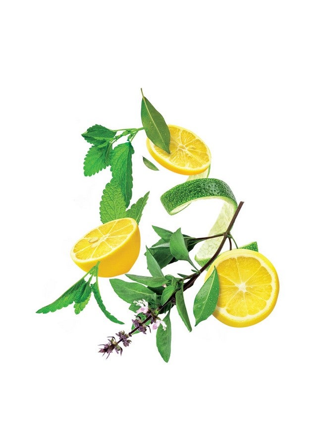 شاندريكا غسول اليدين تولسي والليمون للعناية بأيدي نظيفة وآمنة 675 مل (عبوة من قطعتين) - Image 4