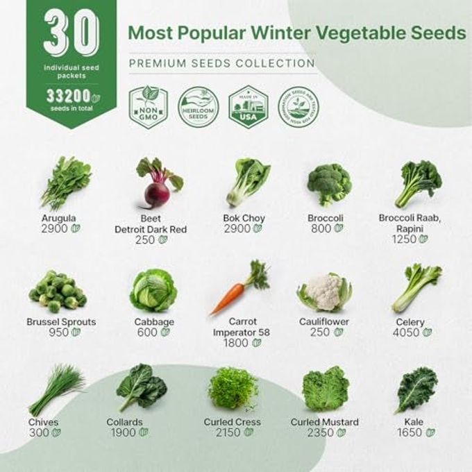 Organo Republic 30 Most Popular Winter Vegetable Garden Seeds Variety Packoutdoors/Indoor 33,200+ Non-Gmo Heirloom Veggie Seeds Broccoli Beet Carrot Cabbage Chives Lettuce Radish Pea Spinach & More - Image 3
