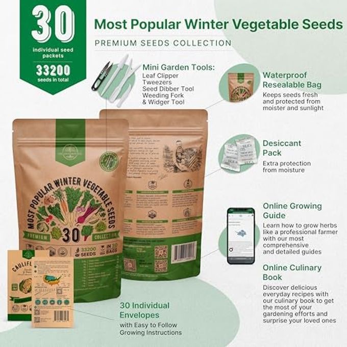 Organo Republic 30 Most Popular Winter Vegetable Garden Seeds Variety Packoutdoors/Indoor 33,200+ Non-Gmo Heirloom Veggie Seeds Broccoli Beet Carrot Cabbage Chives Lettuce Radish Pea Spinach & More - Image 2