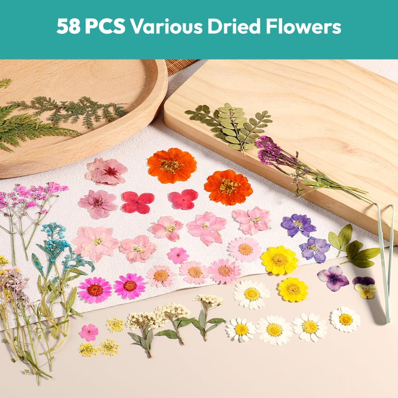Resiners Dried Flowers, Resiners 58Pcs Pressed Flowers for Craft Pink Real Natural Dried Flowers Dry Leaves Kit for DIY Making Crafts Resin Soap Candle Scrapbook Supplies Card Making Jewelry - Image 2