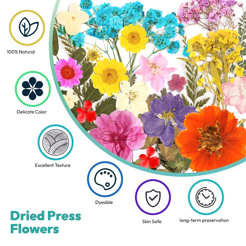 Resiners Dried Flowers, Resiners 58Pcs Pressed Flowers for Craft Pink Real Natural Dried Flowers Dry Leaves Kit for DIY Making Crafts Resin Soap Candle Scrapbook Supplies Card Making Jewelry - Image 3