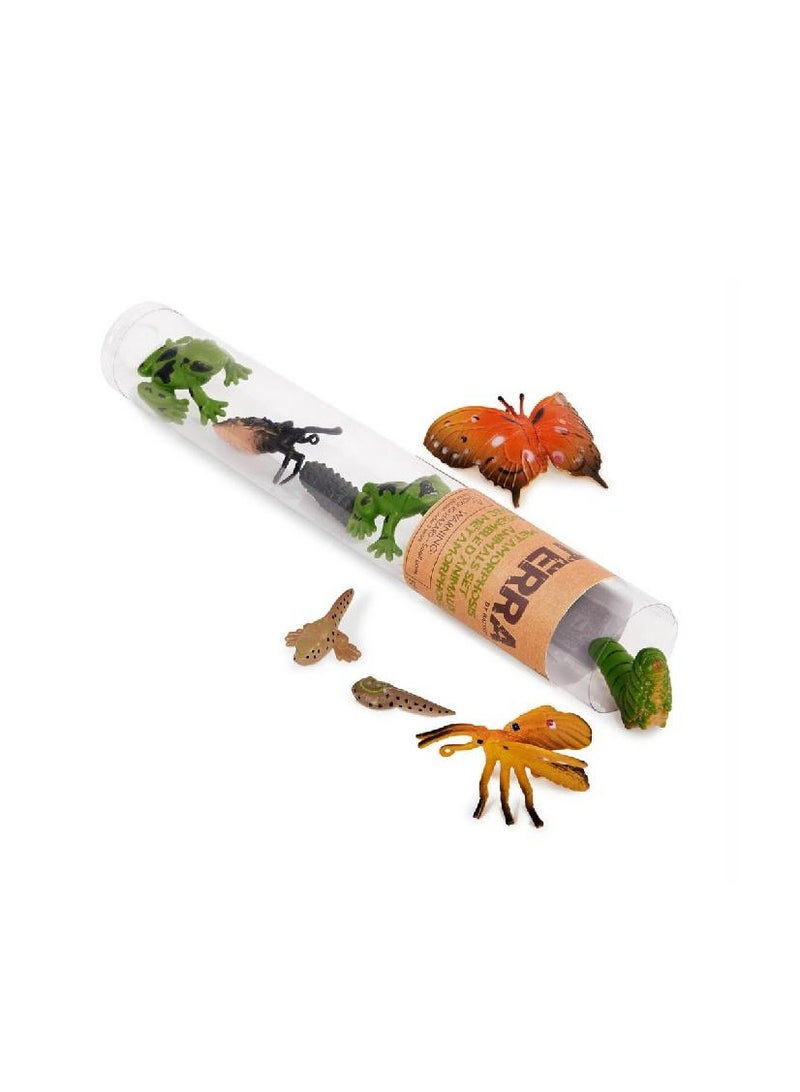 Terra 10 PCS METAMORPHOSIS ANIMALS 4-8 CM