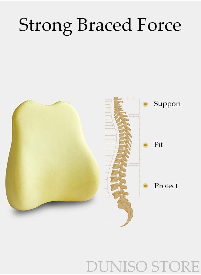 Lumbar Support Pillow for Office Chair Back Support Pillow for Car Computer Gaming Chair Recliner Memory Foam Back Cushion for Back Pain Relief Improve Posture Mesh Cover Adjustable Straps