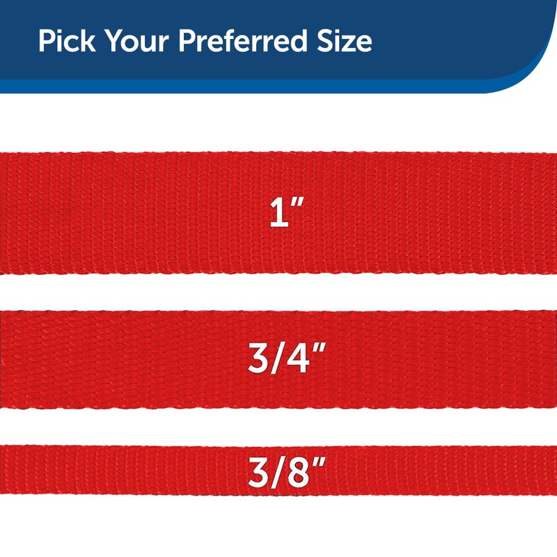 PetSafe Nylon Dog Leash â€“ Strong, Durable, Traditional Style Leash with Easy to Use Bolt Snap for Small, Medium and Large Dogs â€“ 3/8" x 6', Red - Image 5