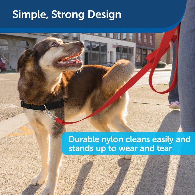 PetSafe Nylon Dog Leash â€“ Strong, Durable, Traditional Style Leash with Easy to Use Bolt Snap for Small, Medium and Large Dogs â€“ 3/8" x 6', Red - Image 4
