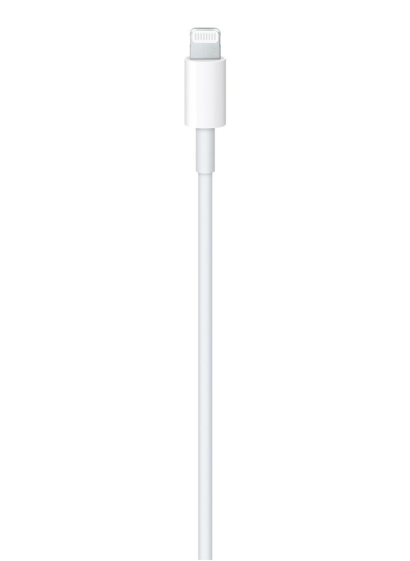 Generic - USB-C to Lightning Cable Compatible with Apple - 2m - Image 1