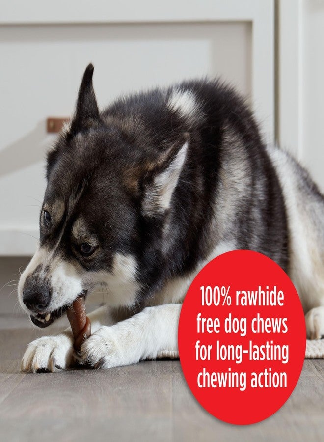 ميلك-بون لفائف بنكهة الدجاج دودل داندي، مكافآت للكلاب خالية من الجلد الخام بنكهة الدجاج، عبوة من 5 قطع - Image 5