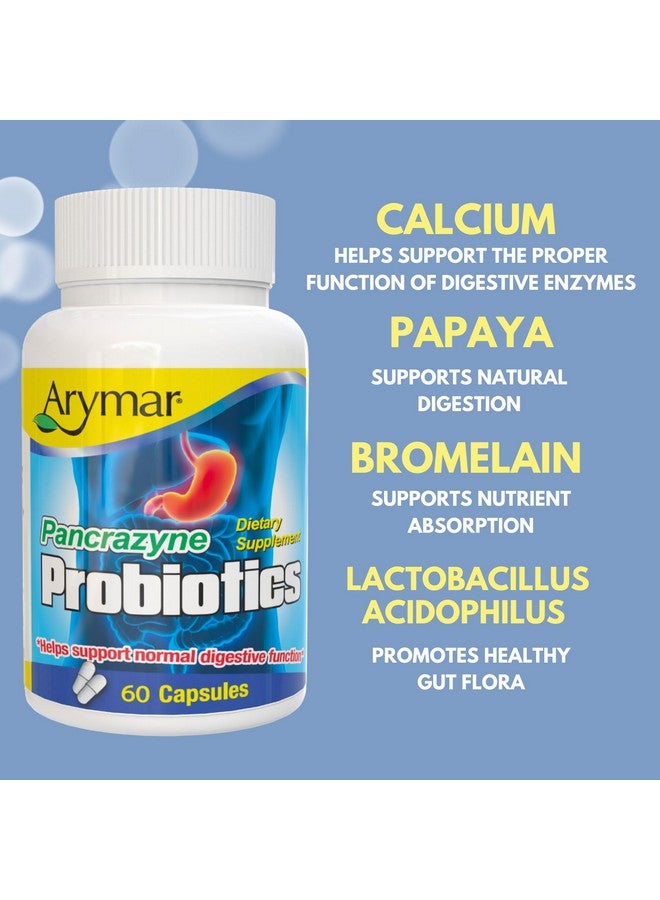 Arymar Pancrazyne Probiotics - 60 Capsules - Dietary Supplement for Digestive Health - Image 4