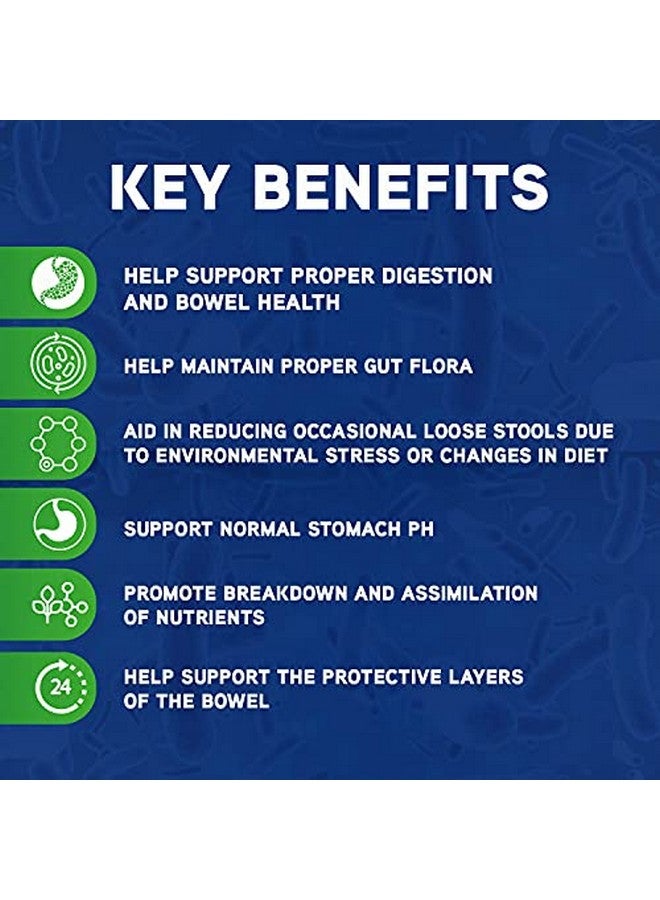 بروبيوس علكات لينة للخيول - علكات لينة بروبيوتيك للخيول، مستلزمات الخيول، دعم الهضم للخيول، بنكهة التفاح، 1.32 رطل (600 جرام) - Image 5