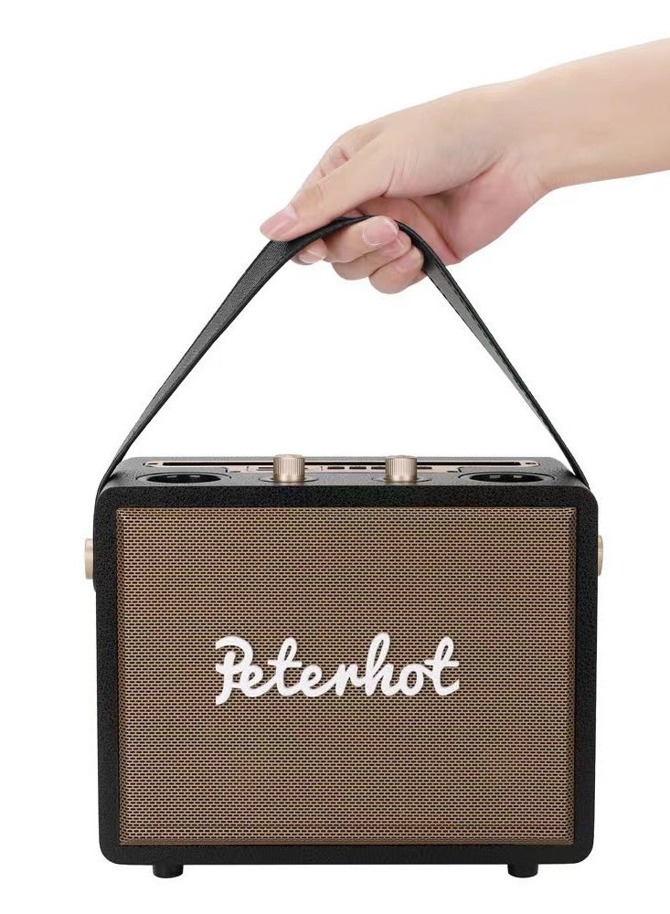 20W Portable Karaoke Speaker With 2 Mic Singing Machine Loud Bluetooth Wireless Stereo Speakers Wooden BT Speaker With Mic - Image 2