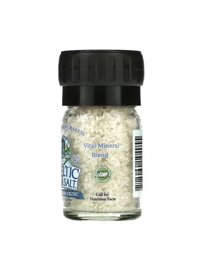 Light Grey Celtic Vital Mineral Blend Mini Salt Grinder 1.8 oz 51 g - pzsku/Z10445D80418A9000722FZ/45/_/1703671329/92e59fbd-2eb8-4c4b-9b88-f992cdd76d5e