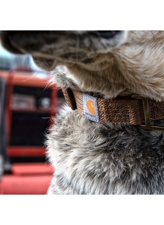 carhartt - Dog Collar Brown/Brushed Brass Large - Image 1