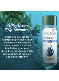 Bio Kelp Protein Shampoo For Falling Hair, 190 ml - pzsku/Z1044A6E0DEA07FFD95B3Z/45/_/1685966879/8d9f6e72-c220-4185-bdd6-83f540f6e5c5