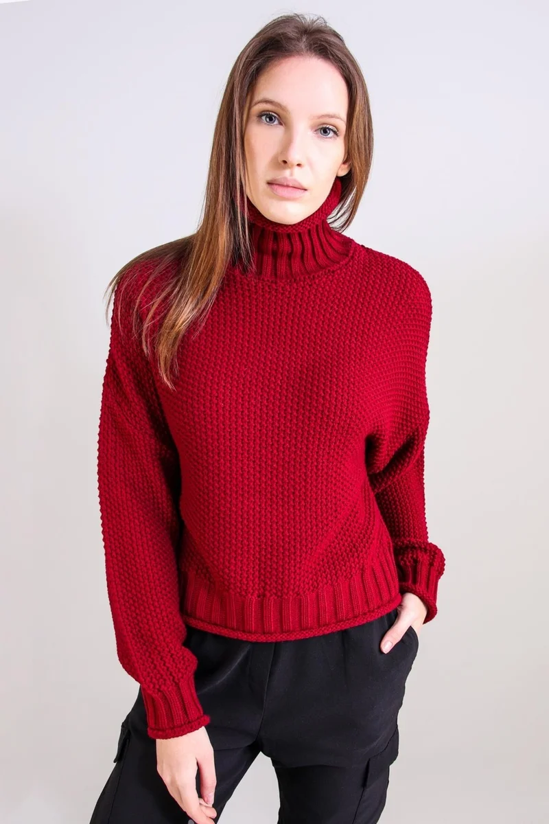 Alexandergardi Alexandergardı Turtleneck Knitwear Sweater (B20-18842)