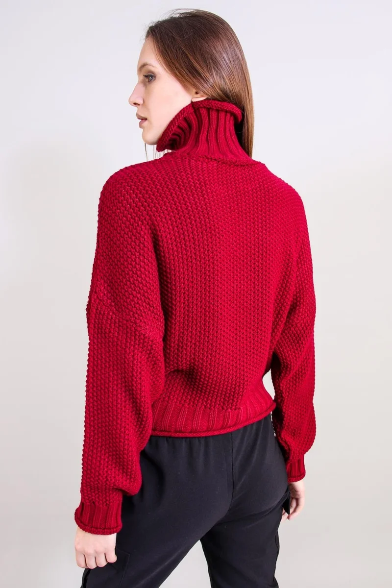 Alexandergardi Alexandergardı Turtleneck Knitwear Sweater (B20-18842)