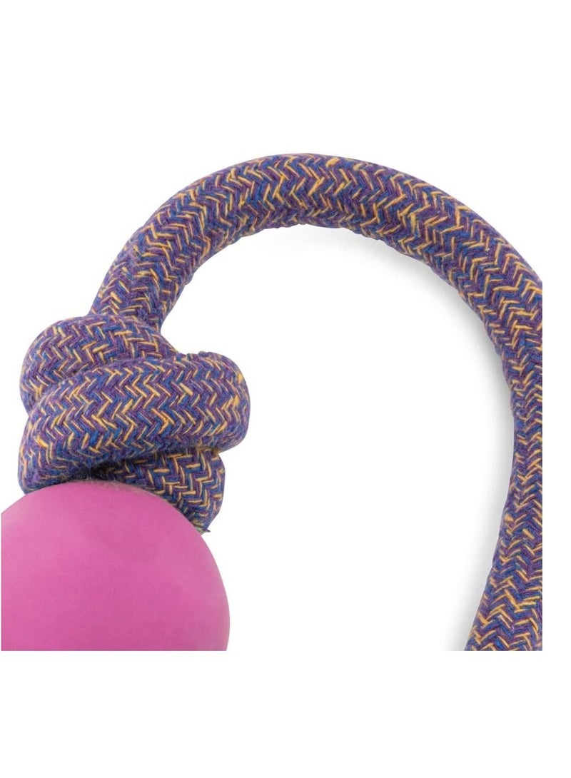 Beco Rubber Ball on Rope Dog Toy Multicolor - Image 2