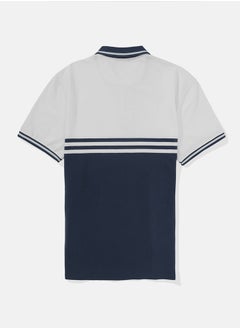 American Eagle قميص بولو مخطط من AE  - Image 3