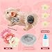 HOTBEST Silicone Pig Silicone 5 Inch Lifelike Pig Doll with Nursing Bottle and Clothing Accessories Cute Realistic Miniature Reborn Interesting Full Body Toys White G - Image 4