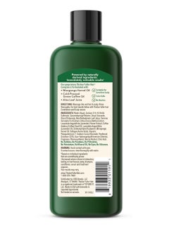 Thicker Fuller Hair Thicker Fuller Hair 2-in-1 Thickening Shampoo and Conditioner for Men - Shampoo for Thinning Hair - Hydrating Shampoo with Aloe Leaf Juice - 12 oz  - Image 4