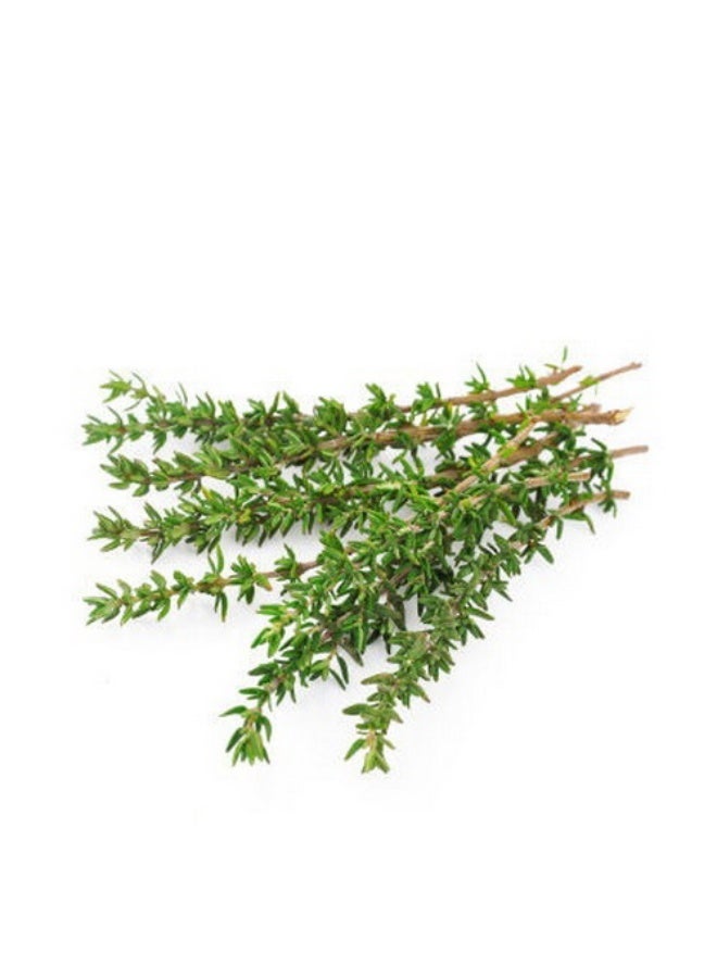 Thyme 50g