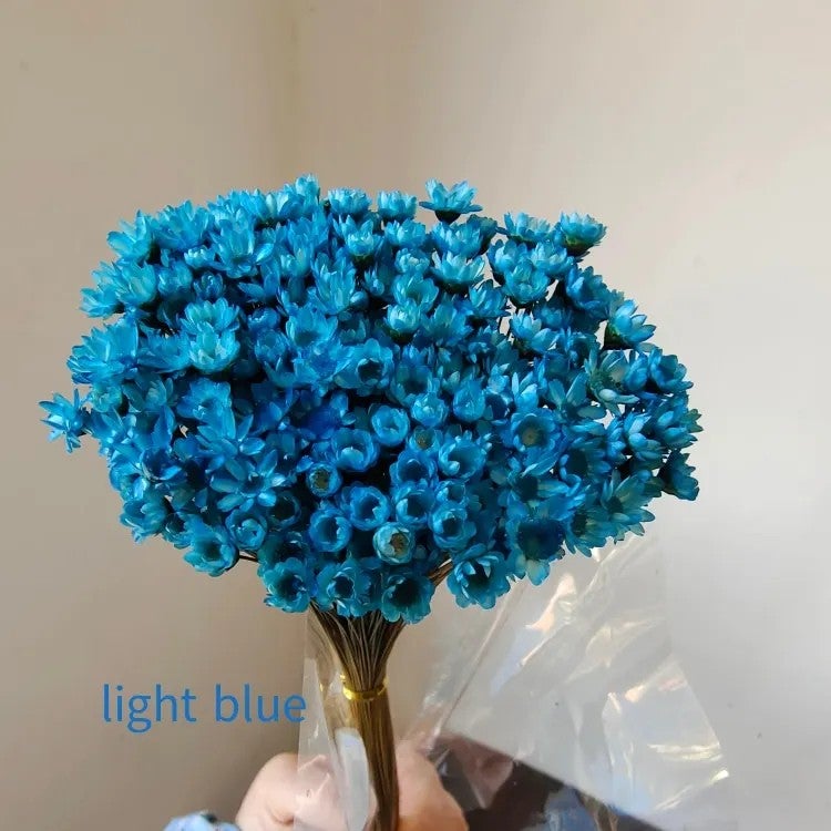 Bluejw Mini Dried Daisy Star Flowers - Real Natural Pressed Plants for DIY Crafts, Home Decor, Glass Bottle Filler, Christmas Ornament - Image 5