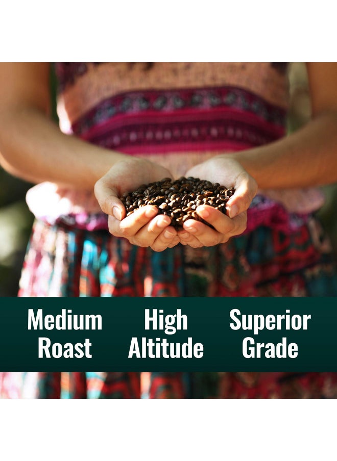Natural Force - Natural Force - Organic Clean Decaf Coffee, Mold & Mycotoxin Free, Lab Tested for Toxins & Purity, Low Acidity, Incredible Taste & Aroma, Ground Swiss Water Decaf Medium Roast, 10 oz - Image 1