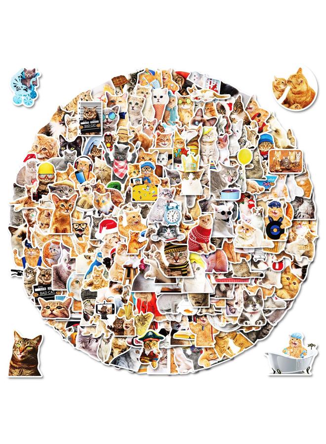 Bluejw 200 Realistic Cat Stickers Mori Realistic Kitty Sticker PVC Waterproof Notebook Stickers - Image 3