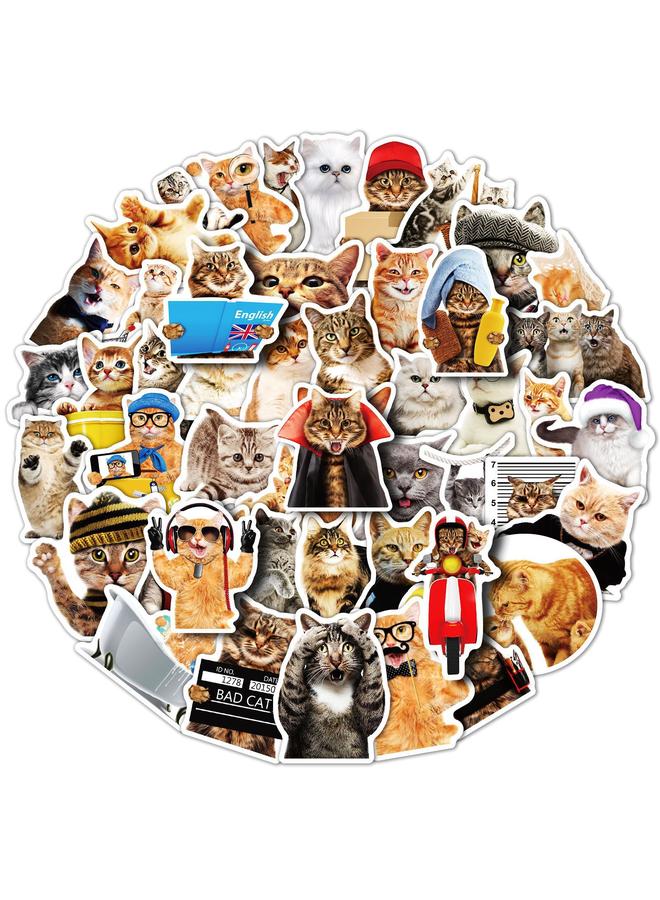 Bluejw 200 Realistic Cat Stickers Mori Realistic Kitty Sticker PVC Waterproof Notebook Stickers - Image 1