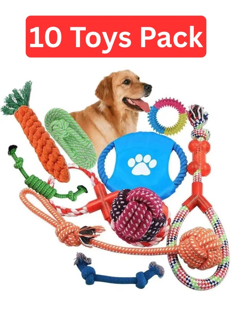 Queens 10 Pcs Pet Puppy Toys Gift Set Ball Rope and Chew Squeaky for Dog Cat - Image 1