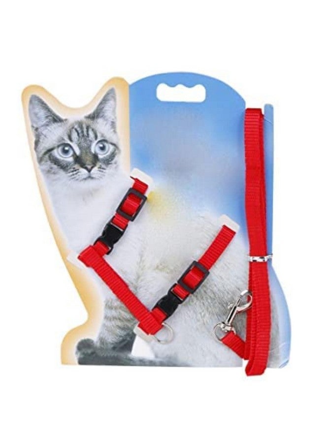 طقم حزام وحزام جسم قابل للتعديل من النايلون للقطط - (حزام قطط) (قد يختلف اللون) | مناسب للجراء والقطط والقطط الصغيرة - Image 1
