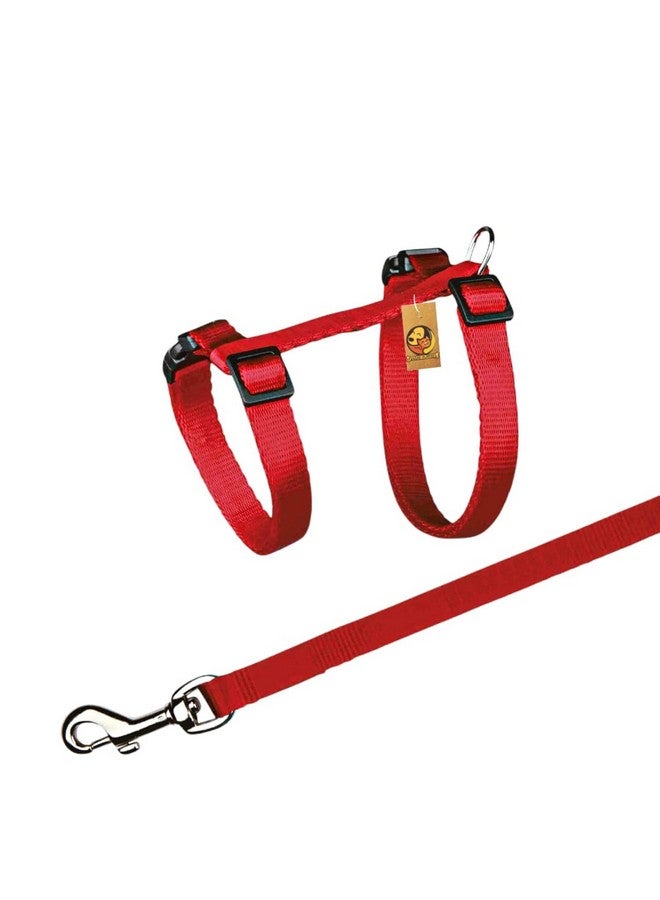 طقم حزام وحزام جسم قابل للتعديل من النايلون للقطط - (حزام قطط) (قد يختلف اللون) | مناسب للجراء والقطط والقطط الصغيرة - Image 4