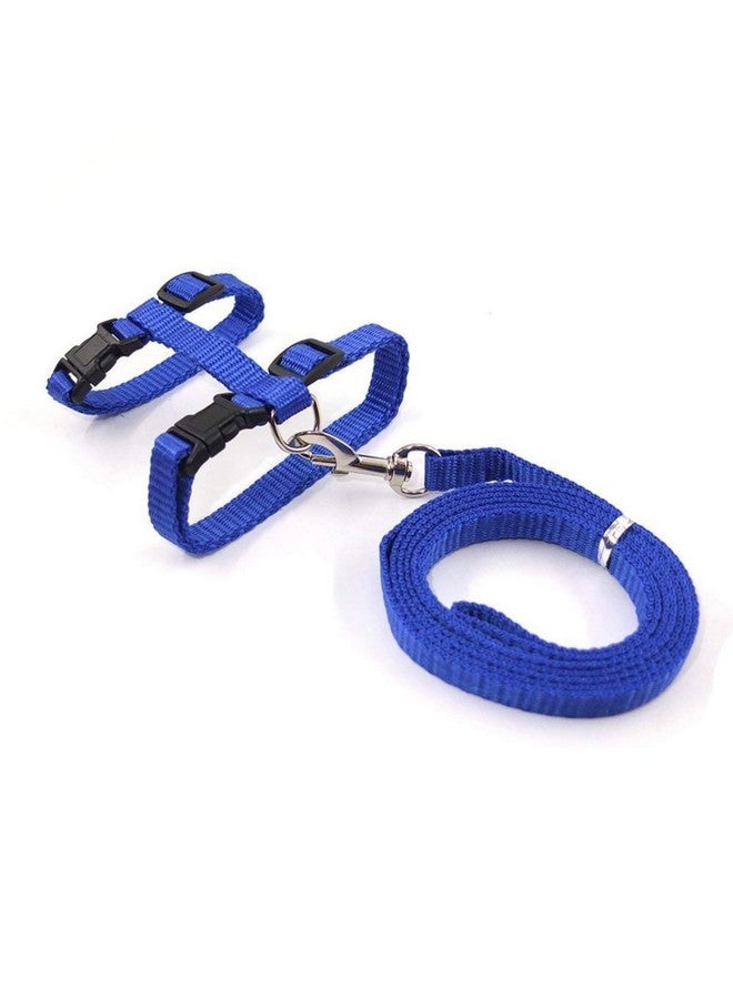 طقم حزام وحزام جسم قابل للتعديل من النايلون للقطط - (حزام قطط) (قد يختلف اللون) | مناسب للجراء والقطط والقطط الصغيرة - Image 5