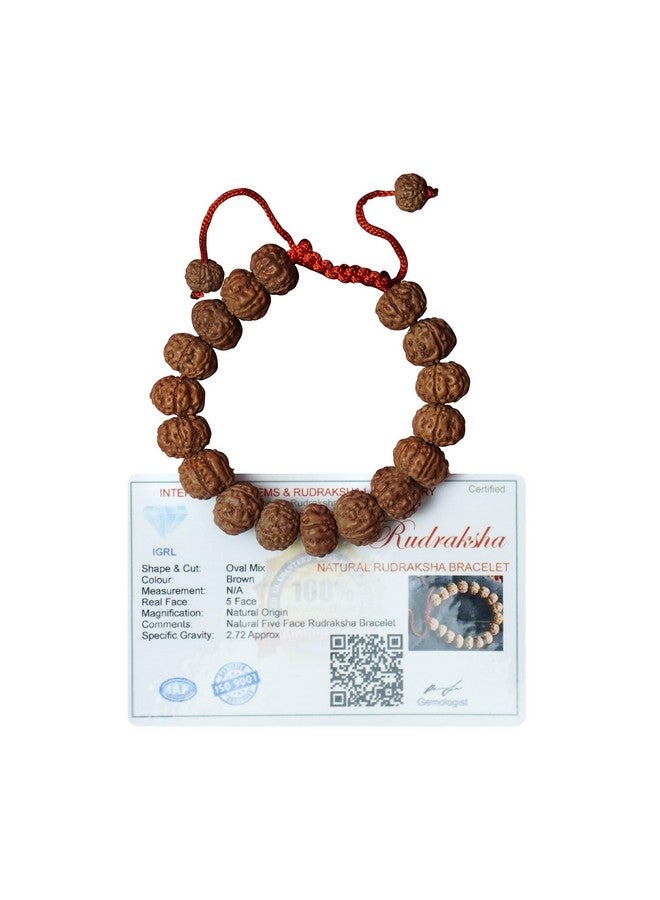 REMEDYWALA Original 5 Mukhi(Panchmukhi) Rudraksha Bracelet With Certificate | AAA Grade Unisex both for Men and Women - Image 1