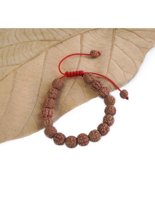 REMEDYWALA Original 5 Mukhi(Panchmukhi) Rudraksha Bracelet With Certificate | AAA Grade Unisex both for Men and Women - Image 2